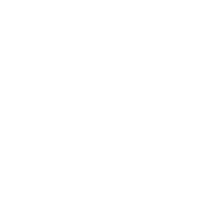 Wilson's W logo
